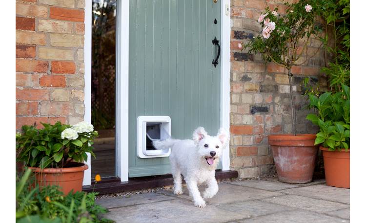 SureFlap Microchip Pet Door Electronic locking pet door for cats and small dogs at Crutchfield