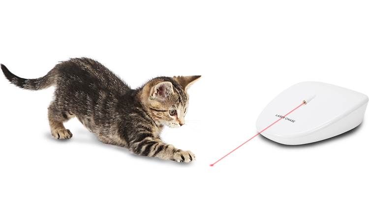 petsafe laser tail