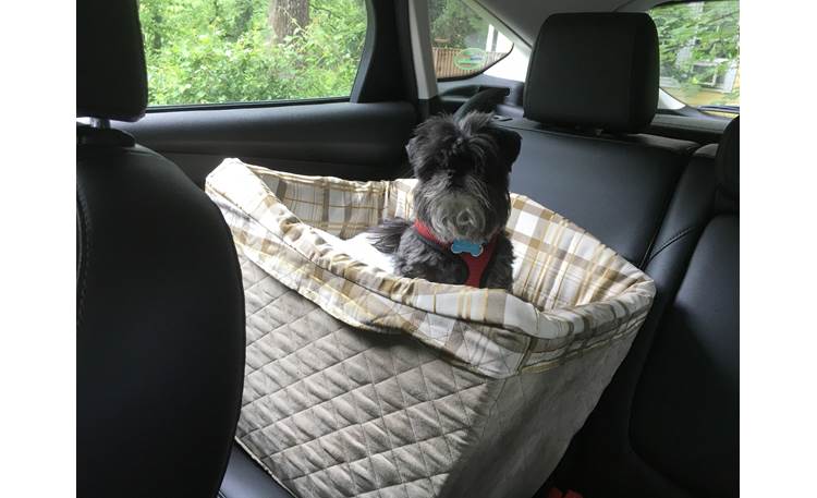 PetSafe Deluxe Pet Safety Seat Crutchfield intern Milo enjoys his new view.