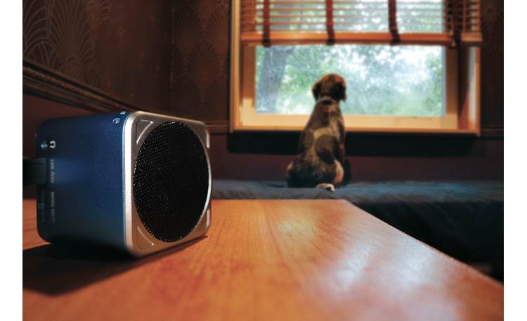 Pet Acoustics Pet Tunes Canine Other