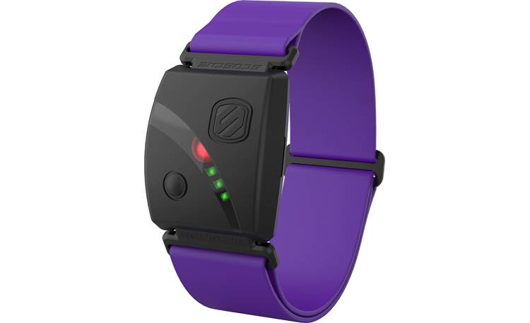 Scosche Rhythm24™ (Purple) Waterproof armband heart rate monitor at  Crutchfield