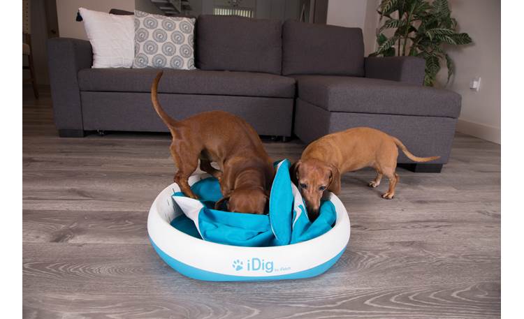 iFetch iDig Stay Fun for dogs of all sizes