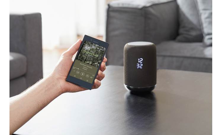 Sony LF-S50G (Black) Wireless powered speaker with Google