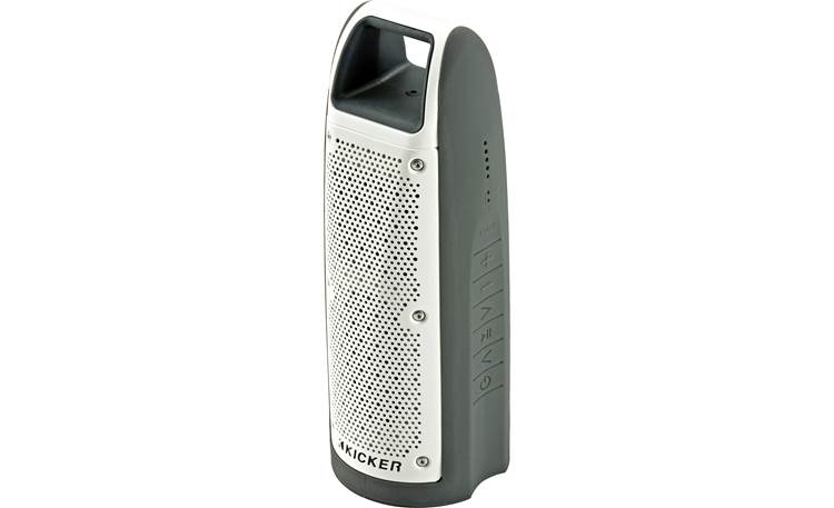 Gray Bullfrog Speaker, Outdoor Speaker