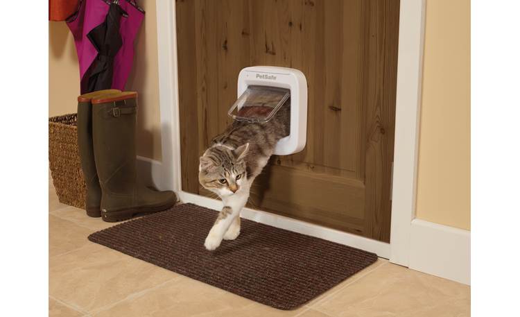 PetSafe Microchip Cat Door Front