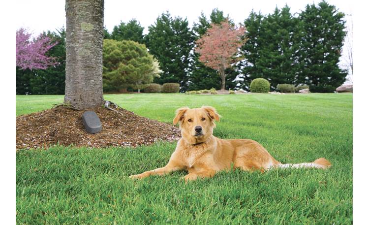 PetSafe YardMax® Cordless In-Ground Fence Front