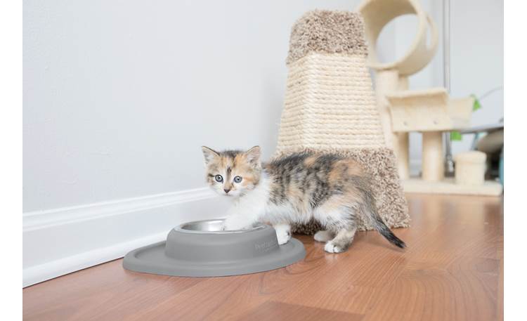 WeatherTech Single Low Pet Feeding System The mat's lip keeps mischievous kittens from making too much of a mess