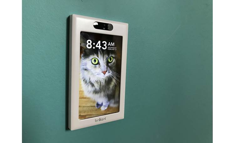Brilliant Smart Home Control My cat Lucy's eyes really pop on the crisp LCD display