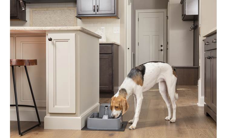PetSafe Drinkwell® 1 Gallon Pet Fountain Constant water circulation helps prevent bacteria growth
