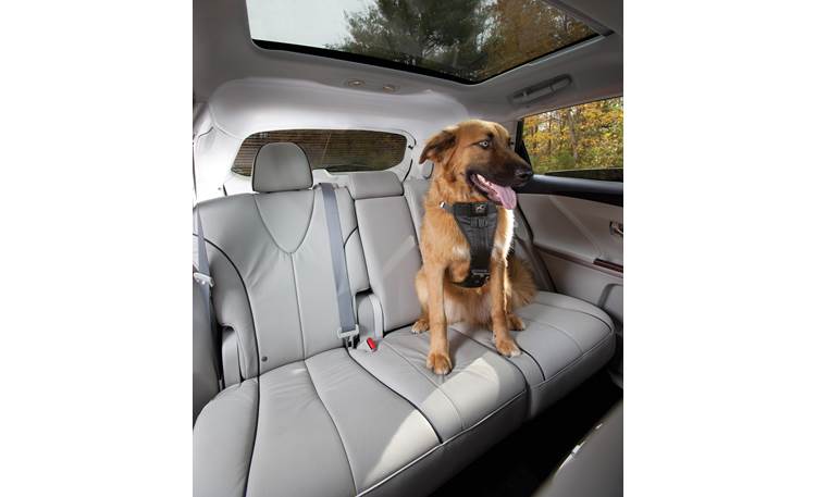 Kurgo Enhanced Strength Vehicle Harness Front