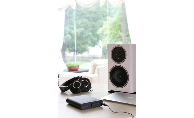 Wharfedale DIAMOND 11.1 ホワイト Wharfedale Diamond 11.1 (White) Bookshelf speakers at Crutchfield