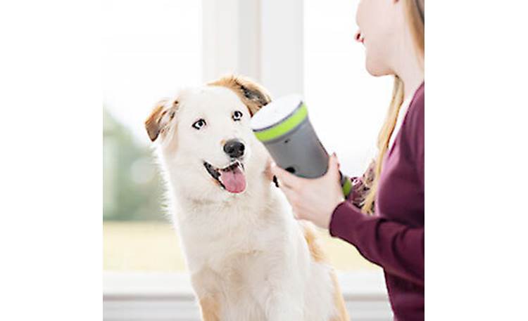 PetSafe Kibble Chase™ Roaming Treat Dropper Holds up to a half cup dry kibble or small, hard treats