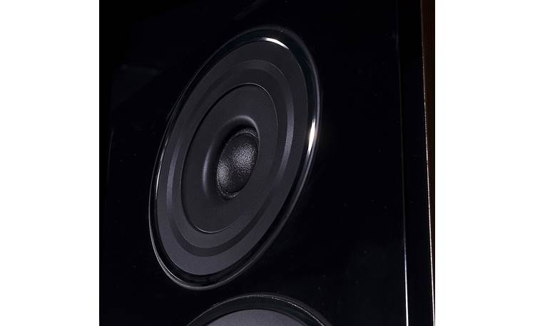 Wharfedale Diamond 12.3 Driver closeup