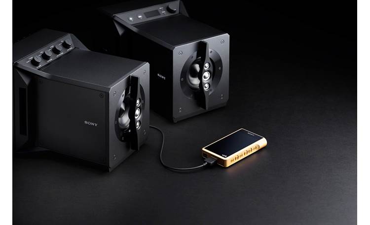 Sony Signature Series SA-Z1 Dedicated port for your high-res Sony Walkman (not included)