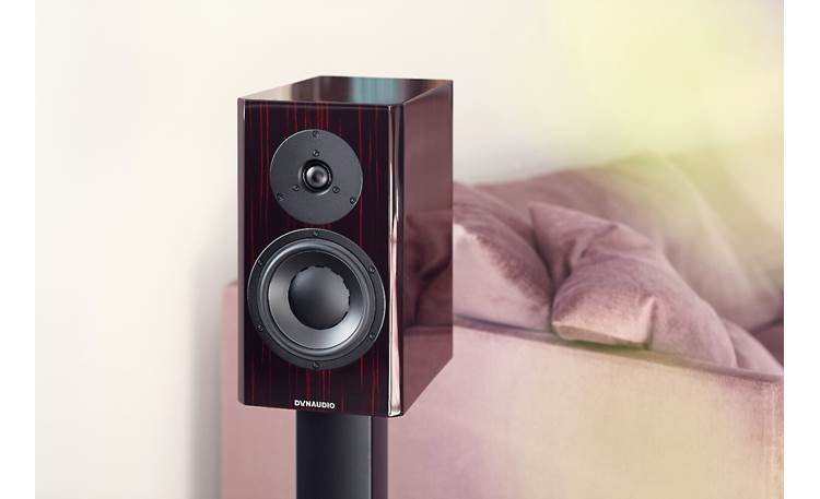 dynaudio black vine