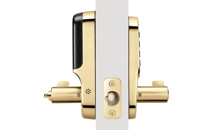 Privacy  NEW ONE HANDICAPPED  YALE Polished Brass Lever Door Knob Lock
