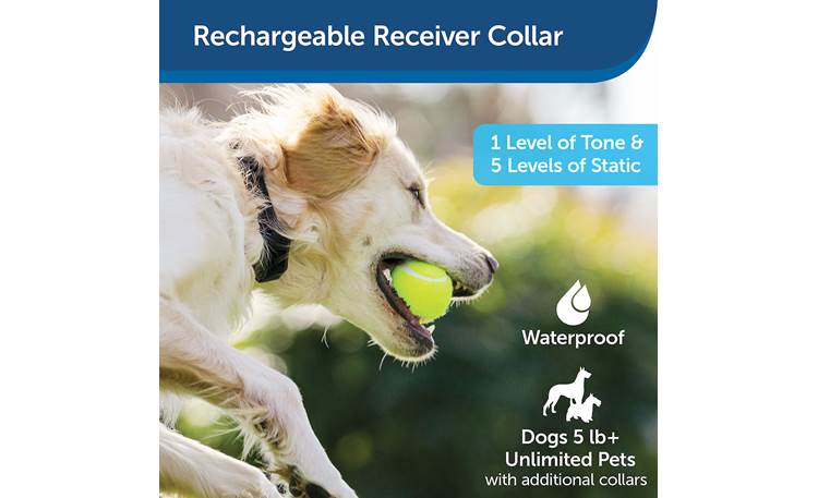 PetSafe YardMax® Receiver Collar Works with YardMax wireless in-ground  fence system at Crutchfield