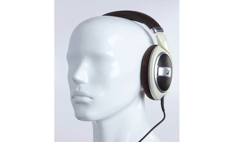 Sennheiser HD599 Mannequin shown for fit and scale