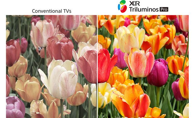Sony MASTER Series XR-55A90J Triluminos Pro™ display technology provides a wider, more natural color palette