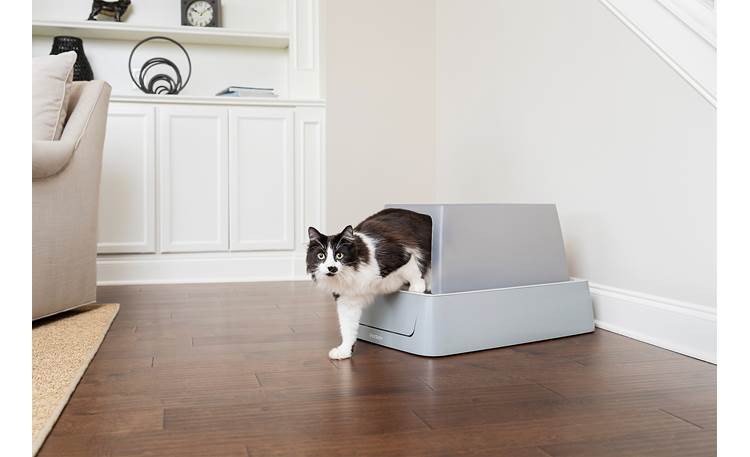 PetSafe ScoopFree® Smart Self-Cleaning Covered Litter Box Hands-free cleaning cycle runs 20 minutes after your cat leaves the box