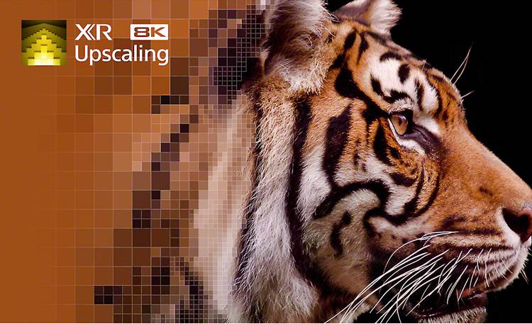 Sony BRAVIA MASTER Series XR-75Z9K 8K upscaling improves the quality and detail of 4K and HD sources