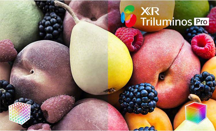 Sony BRAVIA XR-77A80K Triluminos Pro display technology delivers rich, accurate colors