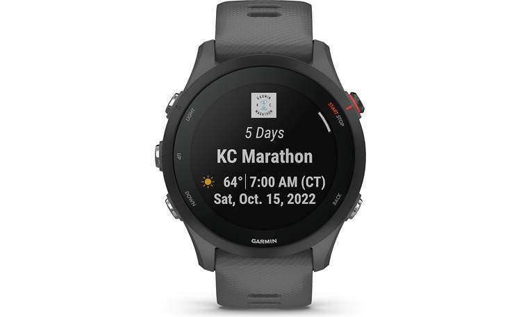Garmin Forerunner 255 (Slate Gray) GPS running watch at