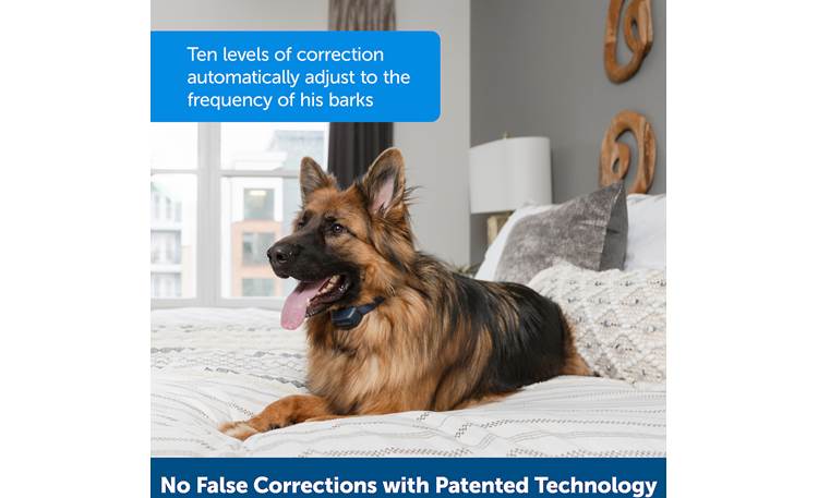 PetSafe Audible Bark Collar Corrections get longer if barking persists