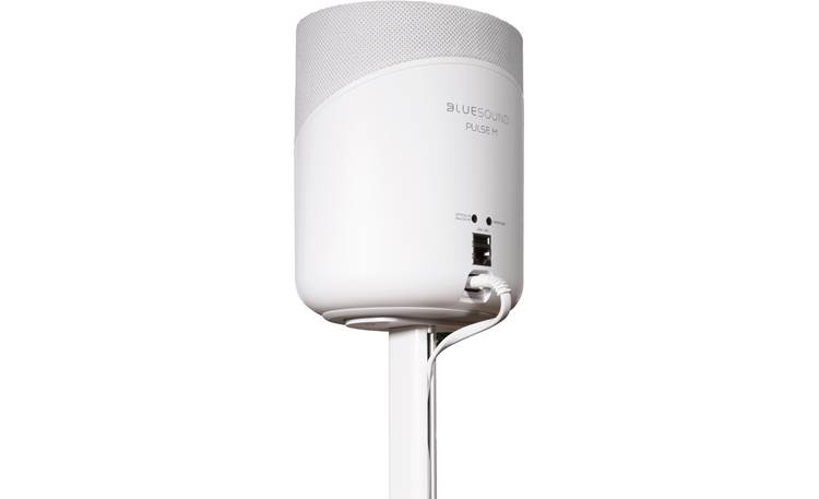 Bluesound FS230 Top rear view, angled left, with PULSE M mounted (sold separately)