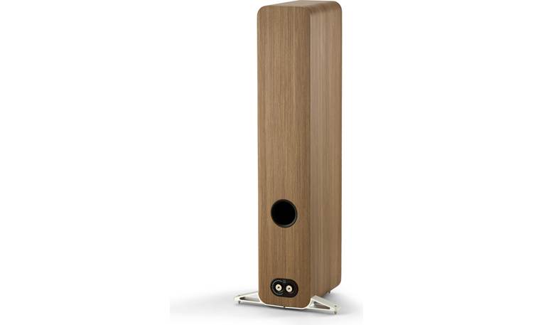 Q Acoustics 5040 Back view, angled right