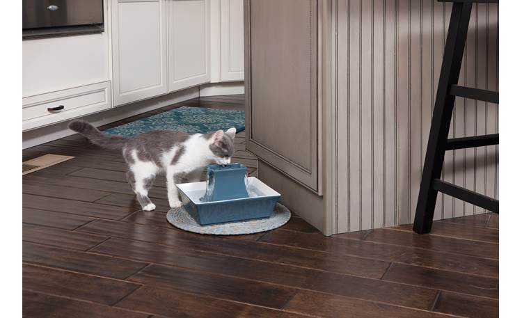 PetSafe Drinkwell® Ceramic Pagoda Other