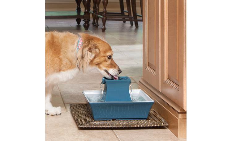 Petsafe drinkwell pagoda dog and cat water fountain hotsell