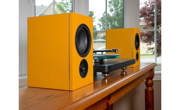 PSB Alpha iQ Connect a turntable with a moving magnet cartridge
