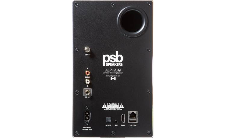 PSB Alpha iQ Connections on back of primary speaker (shown in black)