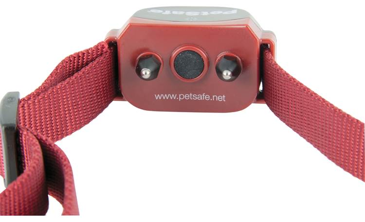 PetSafe Stay + Play® Wireless Fence for Stubborn Dogs Back of collar