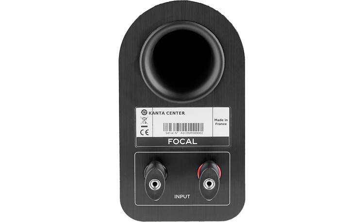 Focal Kanta™ Center Back (closeup of port and connections)