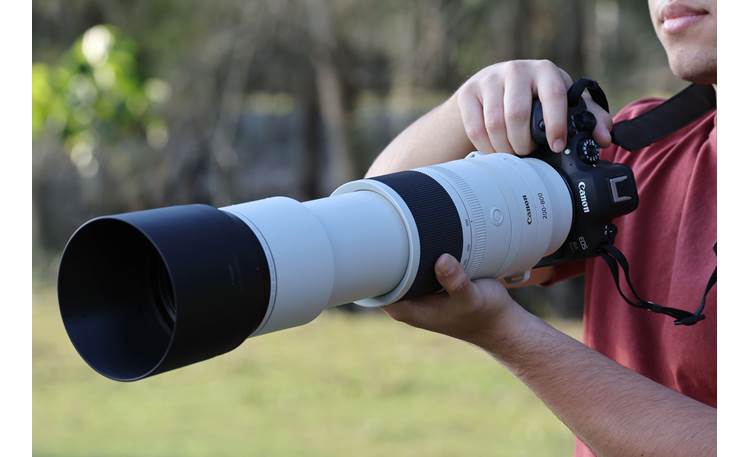 Canon RF 200-800mm f/6.3-9 IS USM Shown in environment (camera not included)