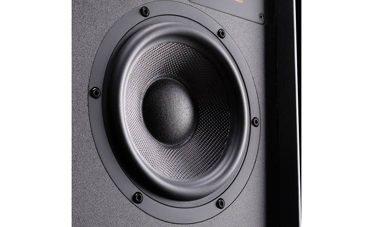 Wharfedale Super Denton Close-up of the 6-1/2