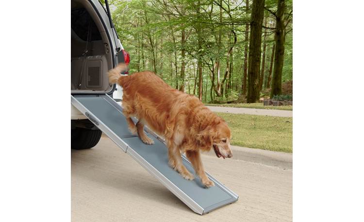 PetSafe Happy Ride® Telescoping Dog Ramp Adjustable ramp for pets up to ...