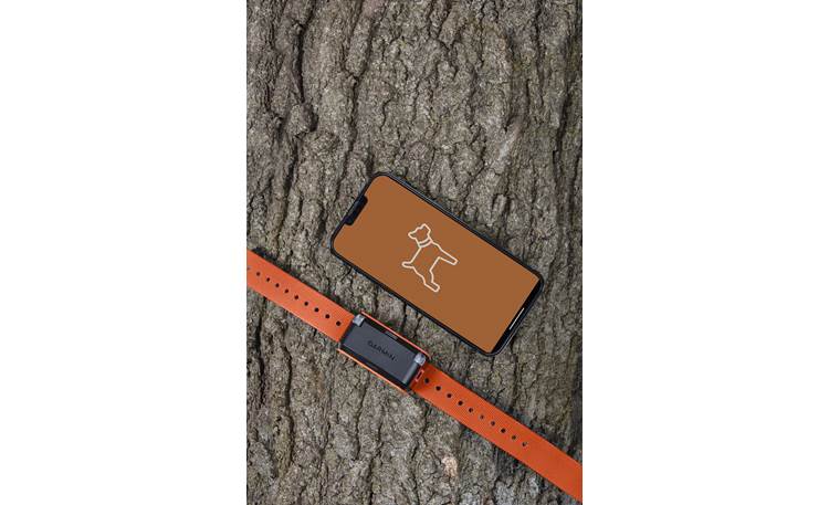 Garmin Alpha LTE Other