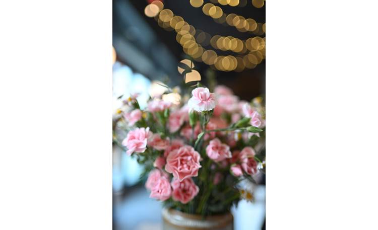 Nikon NIKKOR Z 35mm f/1.4 Sample photo illustrates the shallow depth-of-field at wide apertures