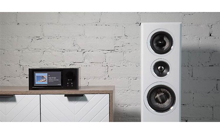 NAD C 700 V2 Compatible with 4- and 8-ohm speakers
