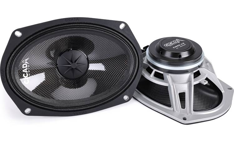 Cicada Audio CM69.4X These 6"x9" speakers can withstand the elements