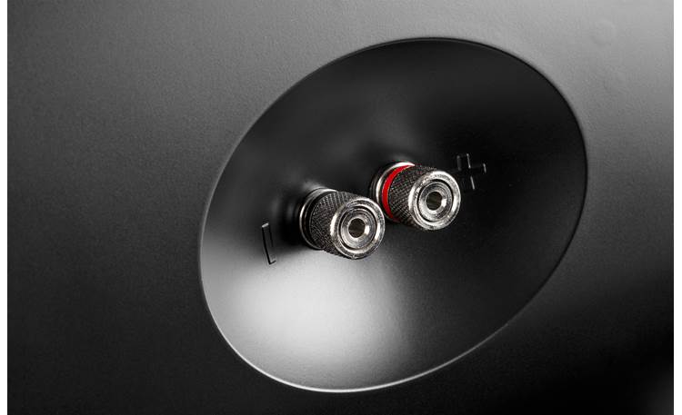 Definitive Technology AW-550 Binding posts