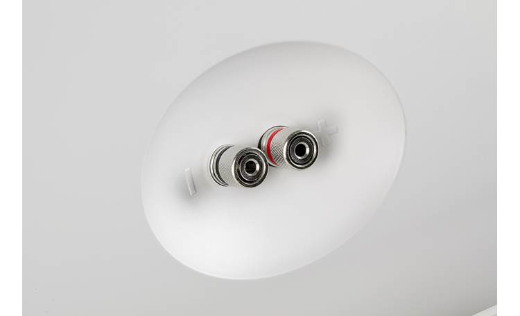 Definitive Technology AW-550 Binding posts