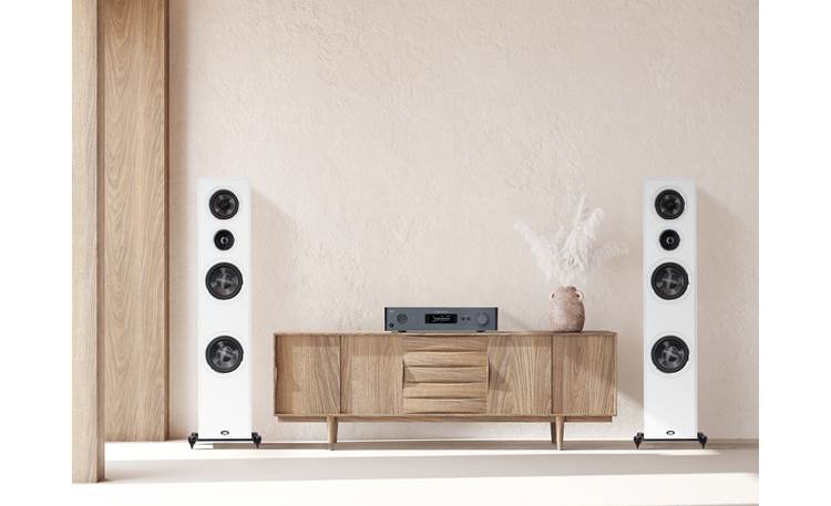 NAD C 379 BluOS-D 4-ohm-stable for driving a wide range of speakers (not included)