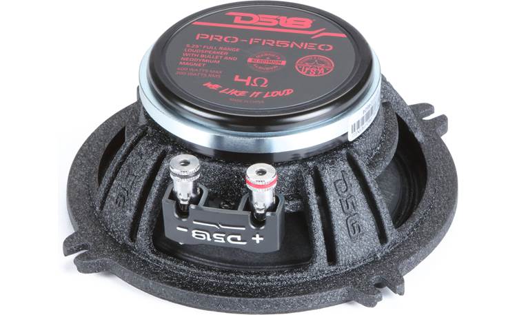 DS18 PRO-FR5NEO Pro 5.25