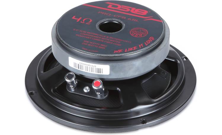 DS18 PRO CF 6.4 SL Back