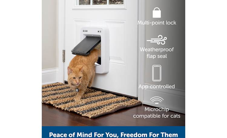 PetSafe SmartDoor Connected Pet Door Medium Automatic door for medium sized pets at Crutchfield