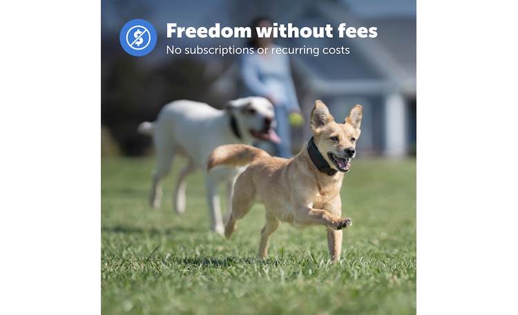 PetSafe Guardian® GPS Add-A-Dog® Collar Other